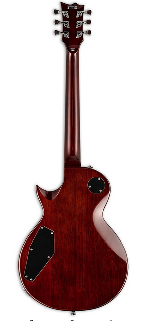 ESP LTD EC-256 VN Gitara elektryczna0