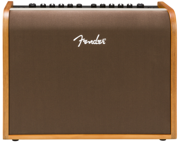 Fender Acoustic 100 Combo