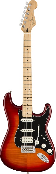 Fender Player Stratocaster HSS PLSTP MN ACB EXPO