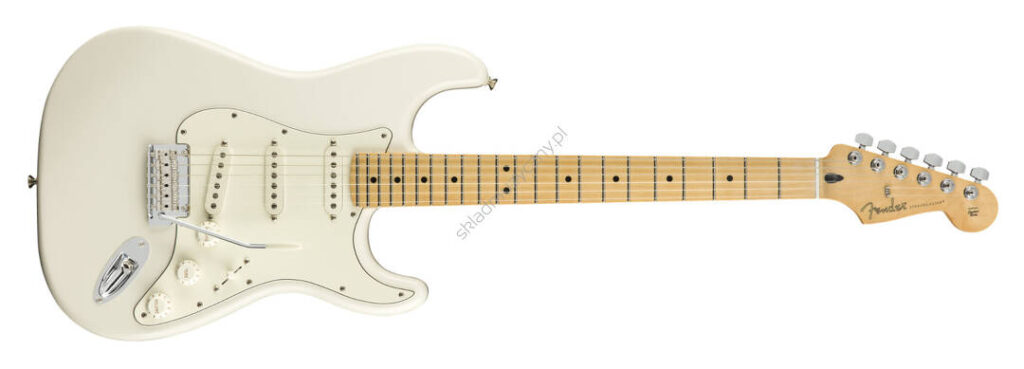 Fender Player Stratocaster MN PWT