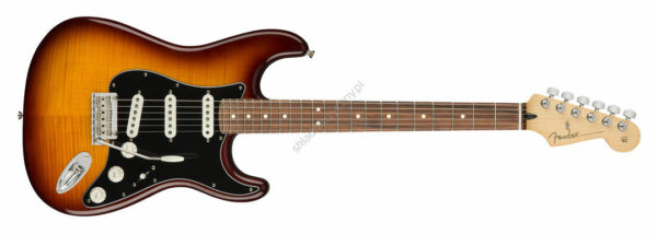 Fender Player Stratocaster PLS TOP PF TBS