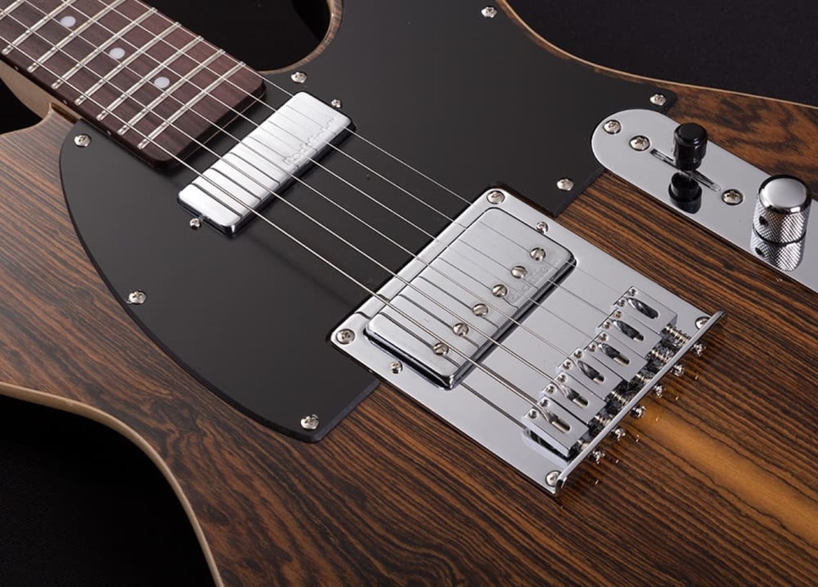 Michael Kelly Custom Collection 55 Striped Ebony | Gitara elektryczna3 Michael Kelly Custom Collection 55 Striped Ebony | Gitara elektryczna3