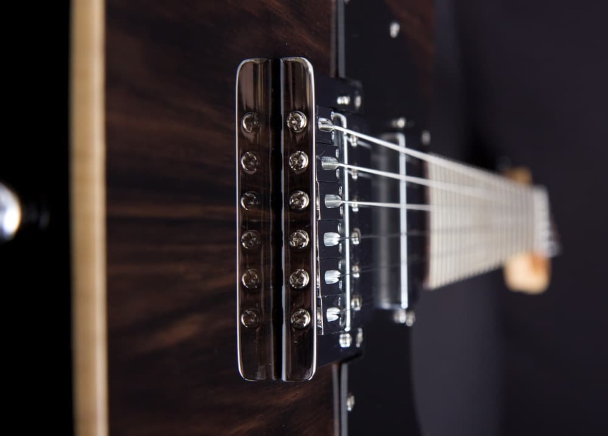 Michael Kelly Custom Collection 55 Striped Ebony | Gitara elektryczna0 Michael Kelly Custom Collection 55 Striped Ebony | Gitara elektryczna0