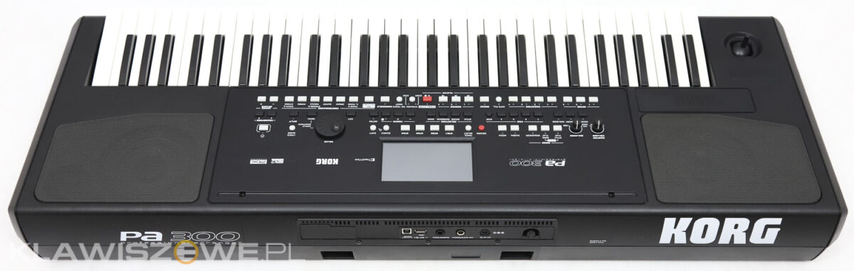 KORG Pa3009