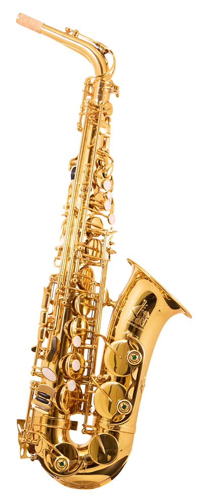 Saksofon altowy Trevor James The Horn 3730G