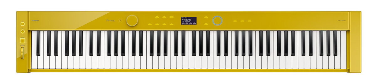 CASIO Privia PX-S7000 HM2