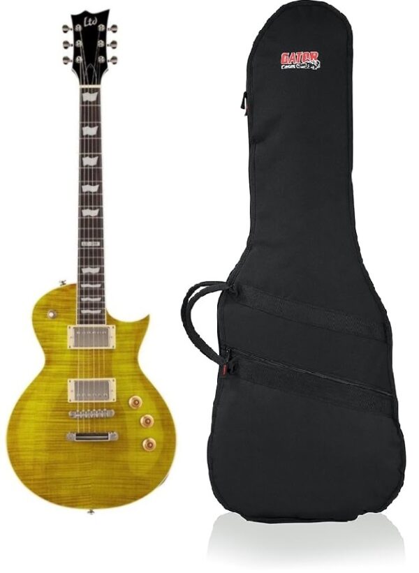 ESP LTD EC-256 LD with Bag