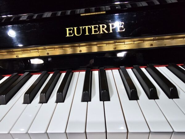 EUTERPE by C. Bechstein 115 D Silent0