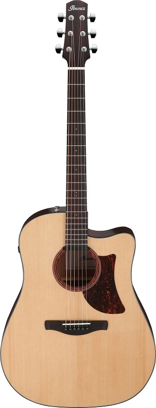 Ibanez AAD170CE LGS