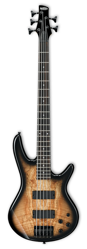 Ibanez GSR205SM NGT