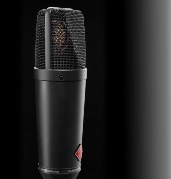 Neumann TLM 193 | Pojemnościowy mikrofon wokalny do ręki0