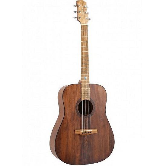 Randon RGI-10VT Gitara akustyczna + POKROWIEC