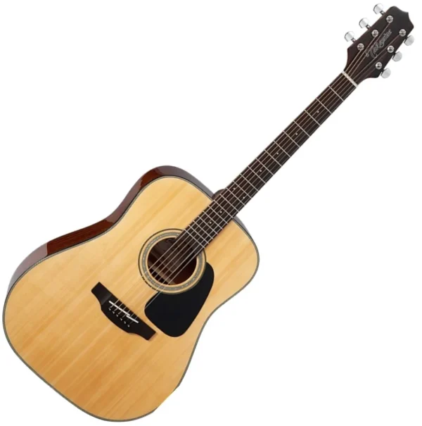 Takamine GD30