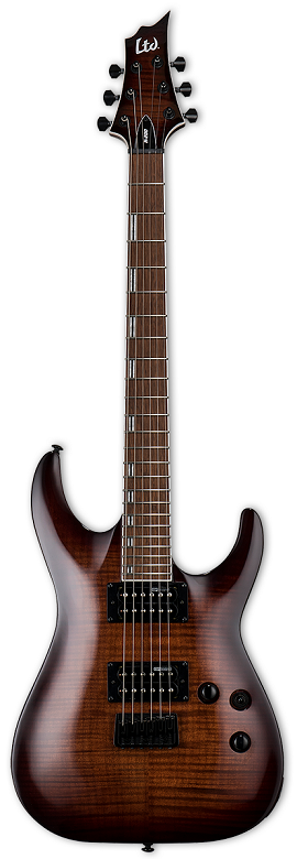 ESP LTD H-200FM DBS