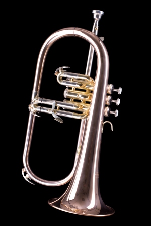 Fluegelhorn Bb NARTISS NATR511-1 lakierowany