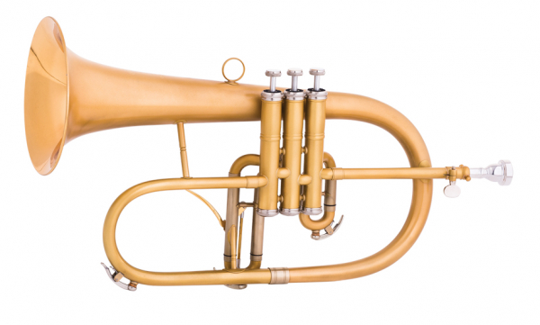 Flugelhorn B (Bb) MTP F-835X Custom