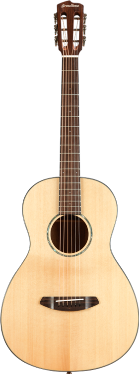 Gitara Akustyczna - Breedlove Pursuit Parlor