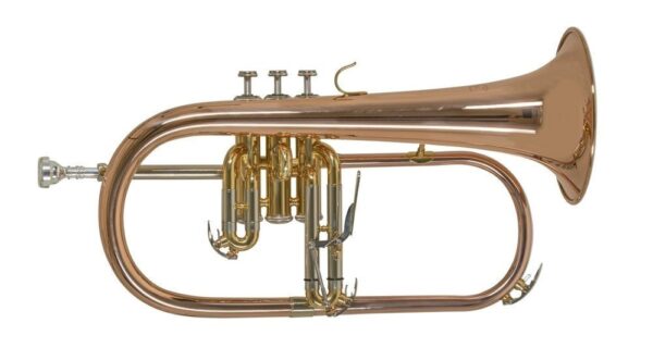 FH501 Flugelhorn - BACH