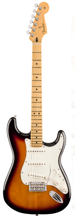 Fender 70th Anniversary Player Stratocaster MN 2TS