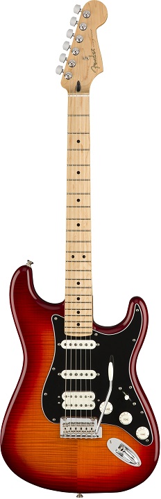 Fender Player Stratocaster HSS PLSTP MN ACB