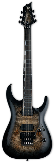 ESP LTD H-1001FR BNB