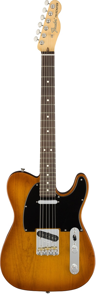 Fender American Performer Telecaster RW HBT