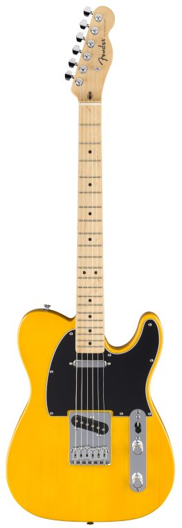 Fender Standard Telecaster MN BTB