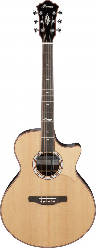 Ibanez MRC10-NT - gitara elektroakustyczna