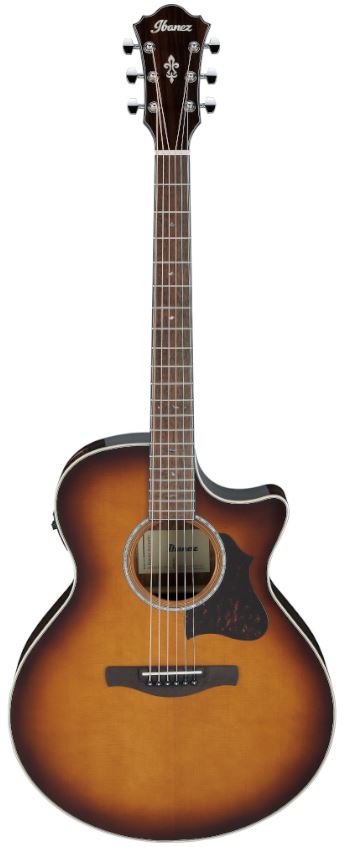 Ibanez AE160 VMS