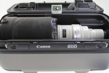 Canon 600mm f/4 L IS USM - Vibe