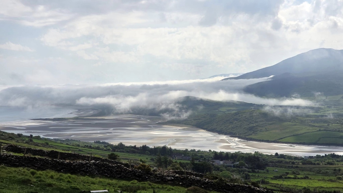 Canon EF 24-70/2.8 L II USM4 Canon EF 24-70/2.8 L II USM4