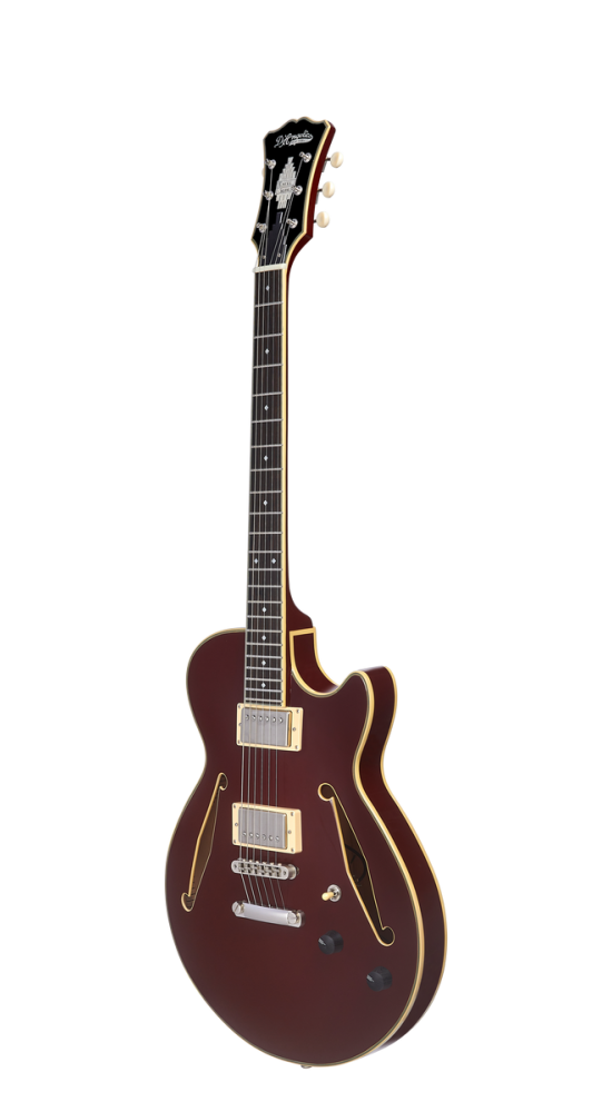 D'Angelico Excel SS Tour Solid Wine - gitara elektryczna