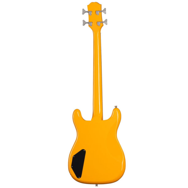 Epiphone Newport Bass CA gitara basowa0
