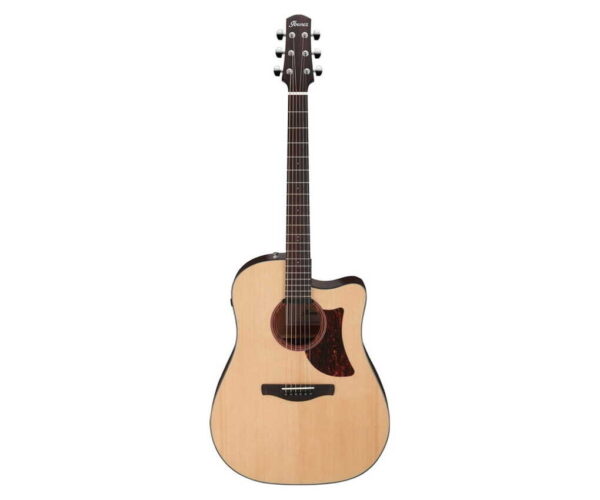 Ibanez AAD-170 CE-LGS