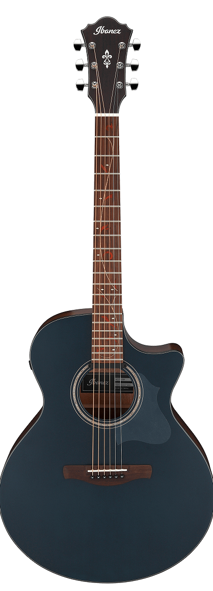 Ibanez AE275 DBF
