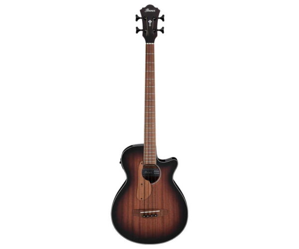 Ibanez AEGB24E-MHS