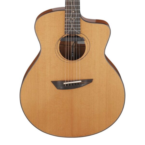Ibanez JGM11 ][ Gitara elektro-akustyczna