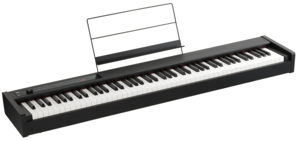 KORG D1