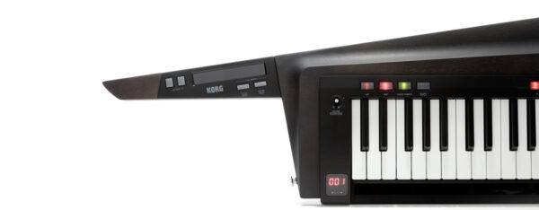 KORG RK-100S 2 BLACK / czarny0