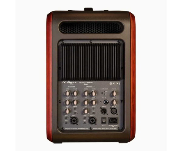 L.R. Baggs Synapse PA0
