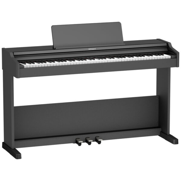 ROLAND RP107