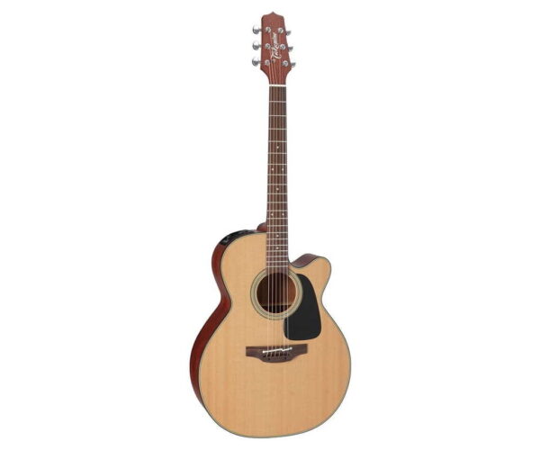 Takamine P1NC