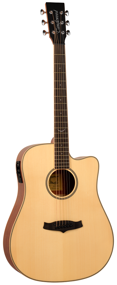 Tanglewood TP5 SE - gitara elektroakustyczna