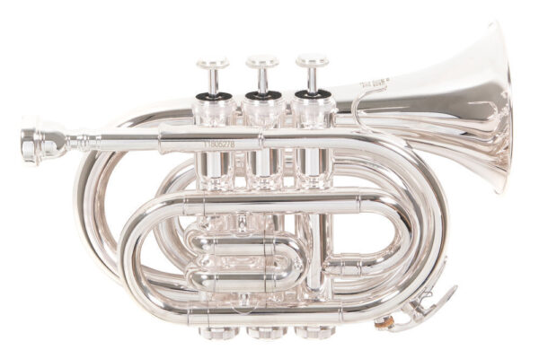 Trąbka kieszonkowa Bb (Pocket Trumpet) - ROY BENSON - PT-101 S