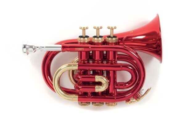 Trąbka kieszonkowa Bb (Pocket Trumpet) - ROY BENSON - PT-101R