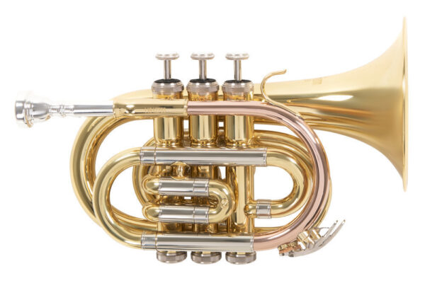 Trąbka kieszonkowa Bb (Pocket Trumpet) - ROY BENSON - PT-302 - DUŻA CZARA