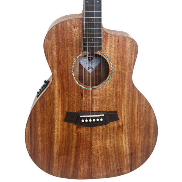 Cole Clark SAN1EC-BLBL ][ Gitara elektro-akustyczna