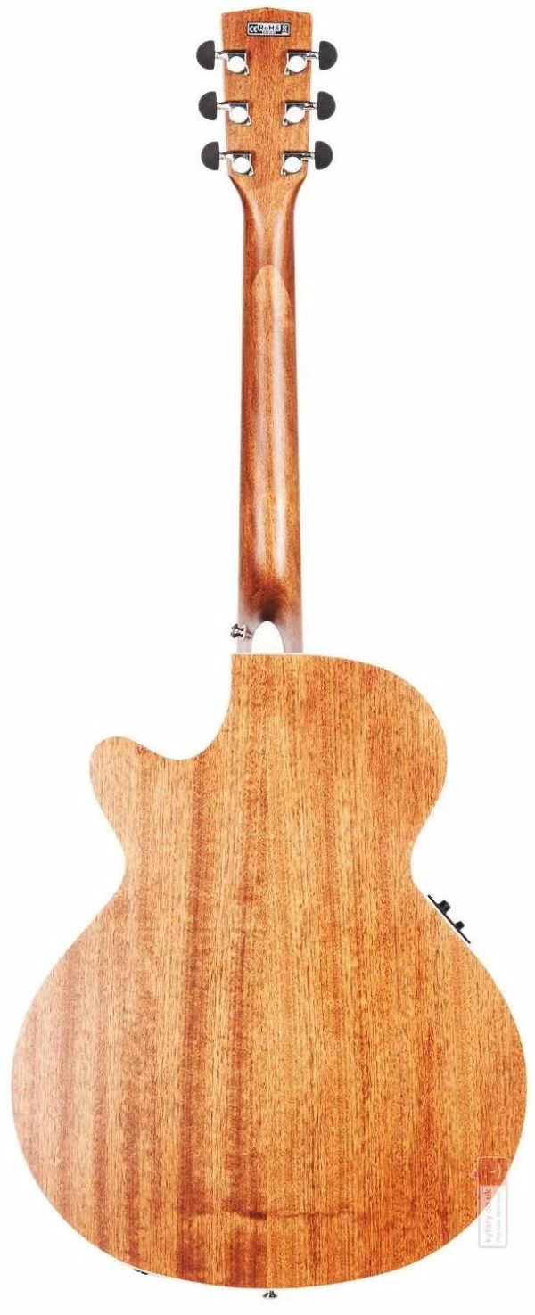 Cort SFX CED NS - gitara elektroakustyczna0