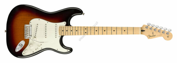 Fender Player Stratocaster MN 3TS