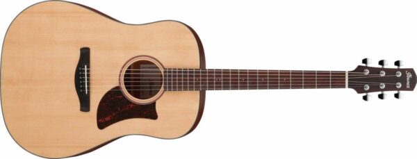 Ibanez AAD100E-OPN
